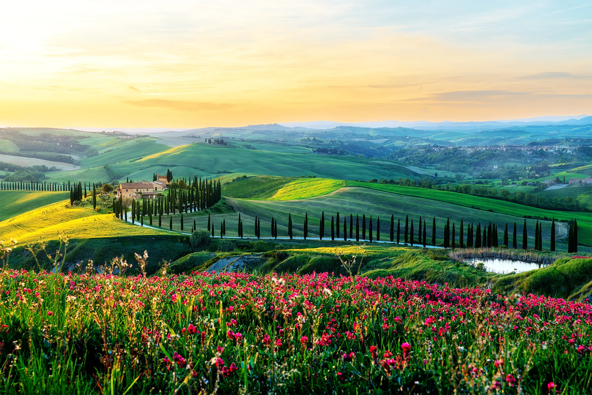 The winding cypress-lined road at Baccoleno crossing the green hills of Tuscany beneath warm sunset light and a field of red flowers.