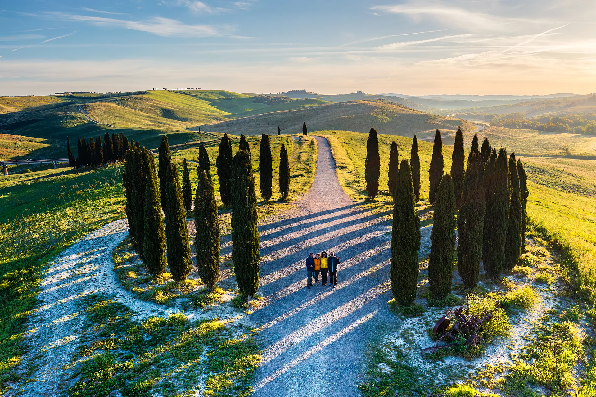 Four friends standing together among tall cypress trees and long morning shadows near San Quirico d’Orcia in Tuscany.