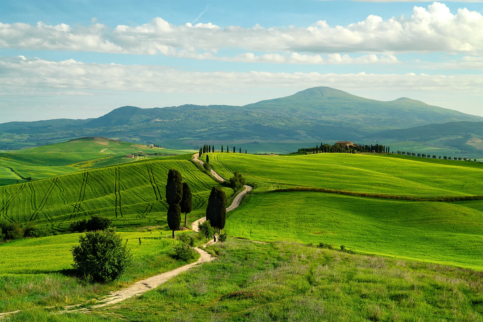 A winding country road crossing the green hills and cypress trees near Pienza, at the Tuscan location associated with the homecoming scene from Gladiator.