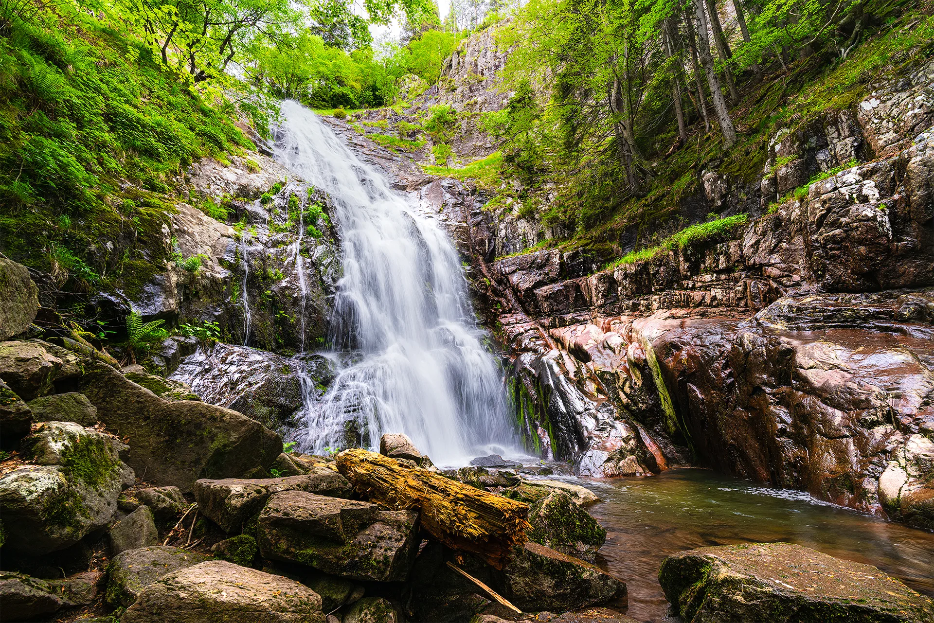 Full-flowing waterfall descending over dark rocks through fresh green forest in the Canyon of Waterfalls near Smolyan.