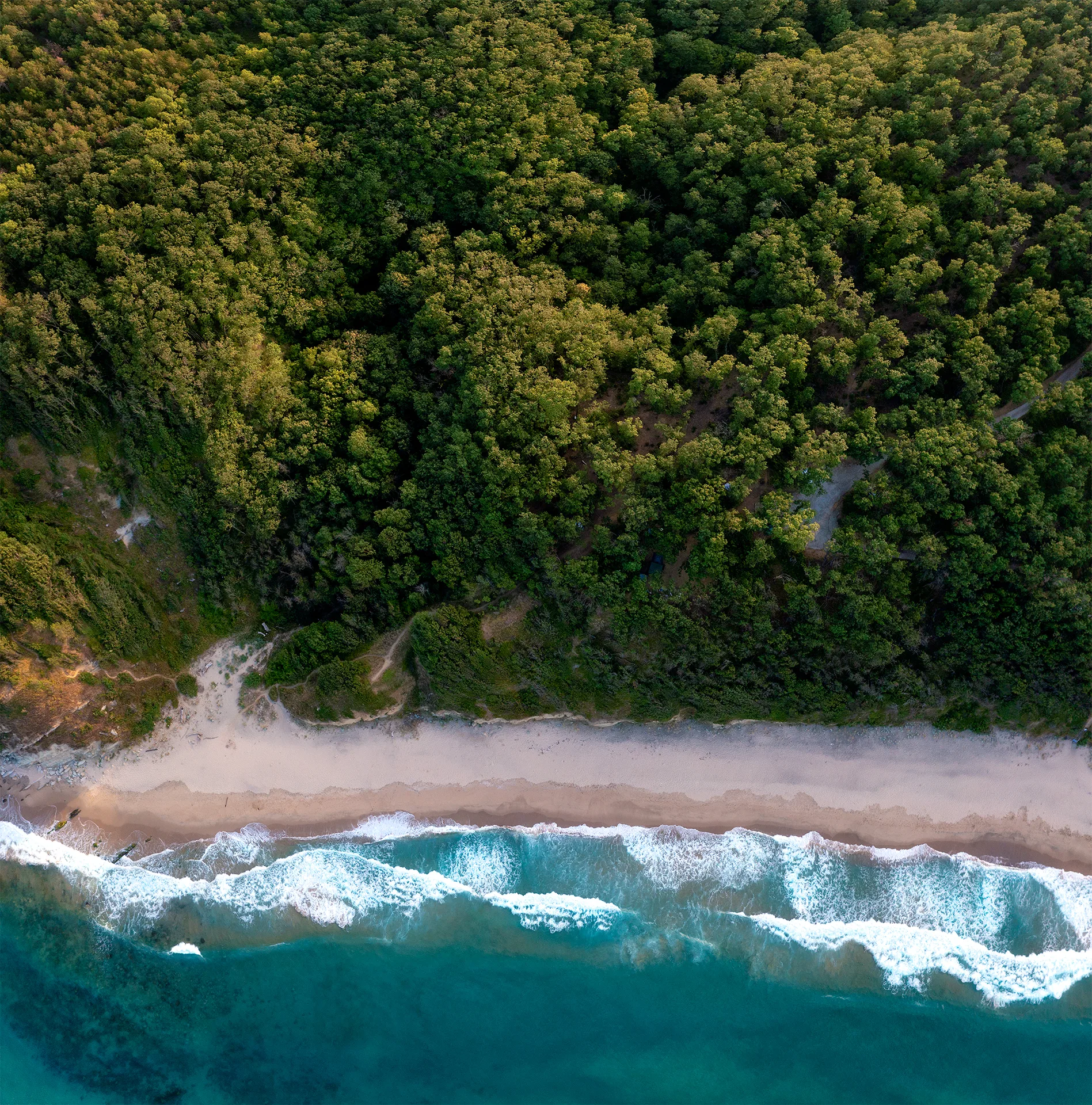 Aerial view of a narrow sandy beach, turquoise waves and dense forest reaching almost to the Black Sea.