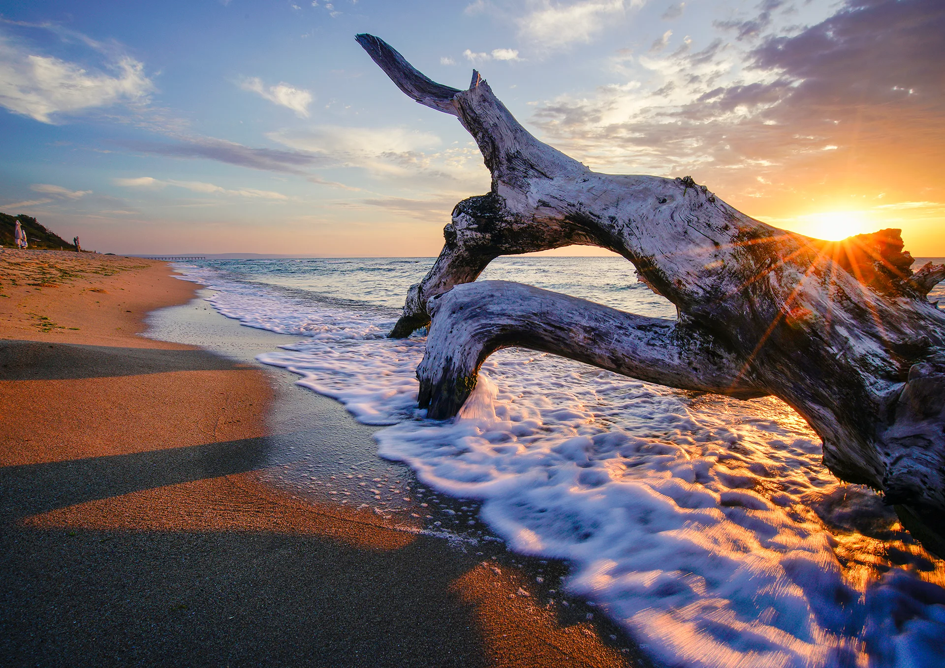 A weathered tree trunk on the beach at sunrise in Shkorpilovtsi, with waves washing over the sand under warm evening light.
