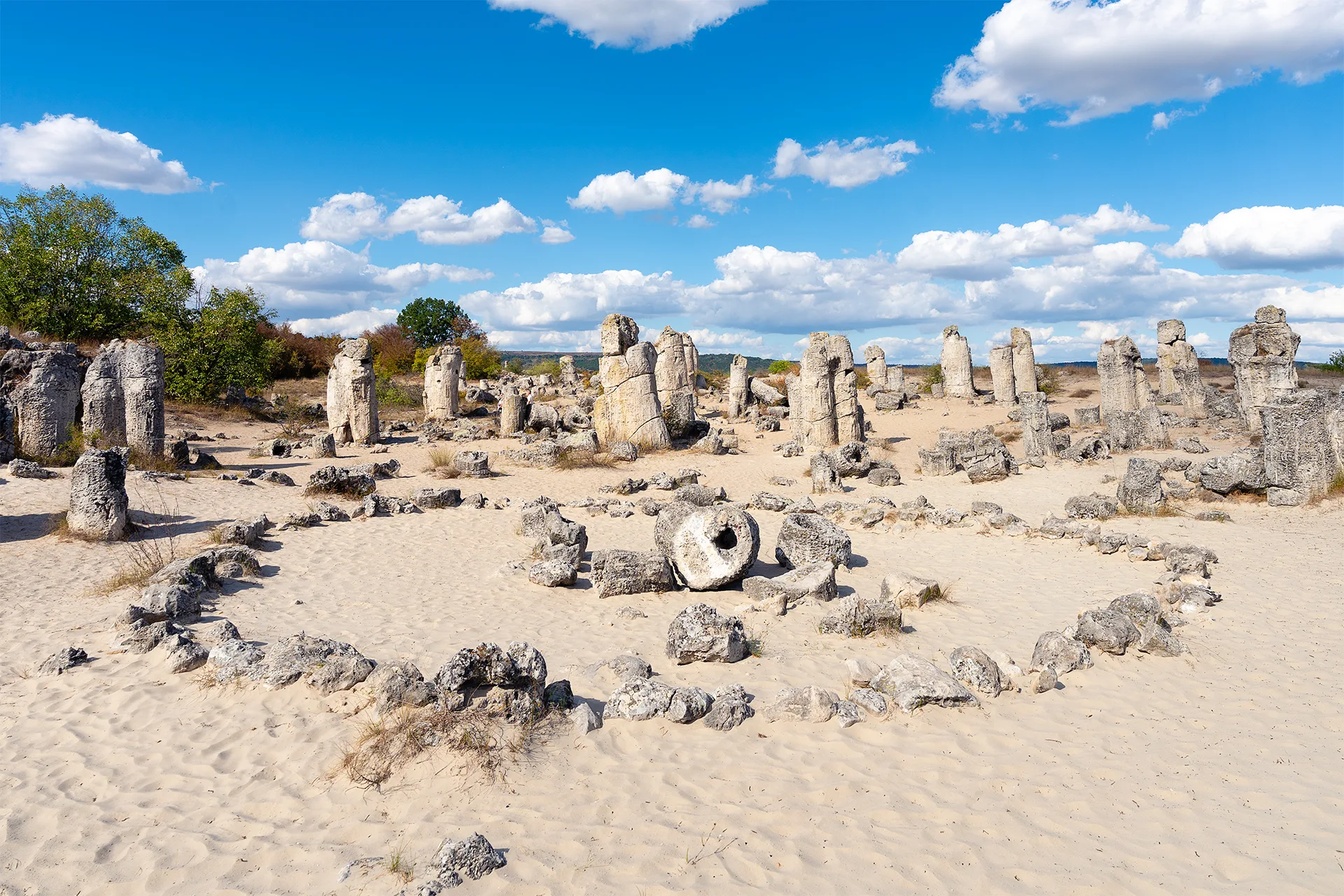 Wide view of the Pobiti Kamani stone formations, with numerous natural columns rising from the sandy ground beneath a bright blue sky.