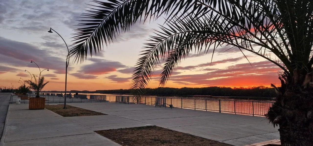 Sunset over the Danube in Ruse, seen from the riverside promenade framed by palm leaves and warm reflections on the water.